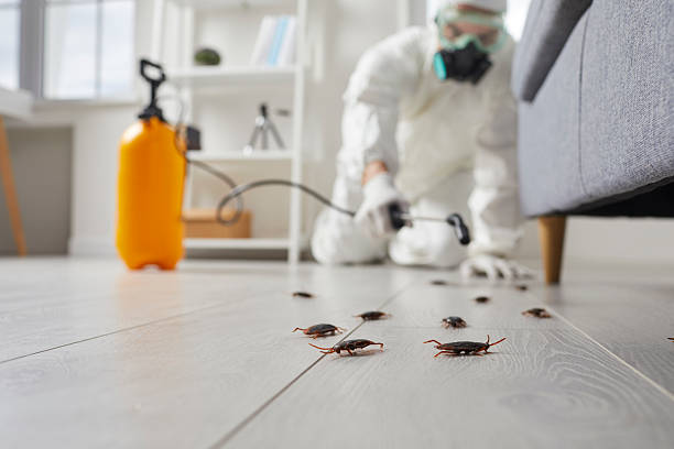 Commercial Rodent Management in Ranchettes
